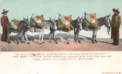 Cauchois Fulton Mills Private Estate Coffee Ad Donkeys Postcard AA110440