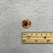 18mm Buttons (11/16")