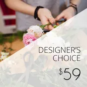 Designer's Choice