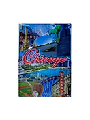 Chicago bean glossy enamel magnet