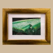 Banana Leaf II Print
