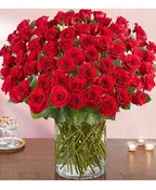 100 PREMIUM ROSES