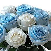 Blue and White Rose Bouquet