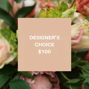 Designers Choice $100