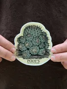 Poot's Copiapoa Sticker — Poot's Cactus Nursery