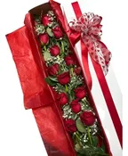 1 DOZEN ROSES BOXED