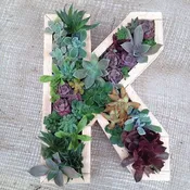 SUCCULENT MONOGRAM WORKSHOP  — Portland Florist | AMANDA KARAM FLORAL Co.