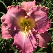 Abraham Lincoln