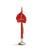 Anthurium Taper Candle