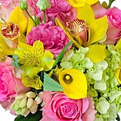 Designer's Choice - Spring Mix