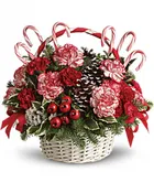 CANDY CANE CHRISTMAS