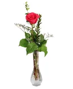 SINGLE HOT PINK BUD VASE