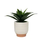 15" Agave in Matte White Ceramic
