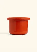 Poppy Fat Lip Planter