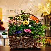 Flowering plant basket