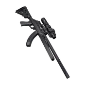 ARKUS 10/22 Stock