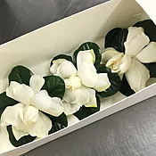 GARDENIA BLOOMS — AUSTIN FLOWER MARKET