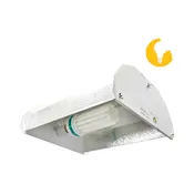 200W CFL Bulb & Reflector Package