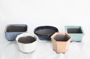Japanese 3"L + assorted mame, shohin  5pcs/set bonsai pot