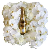 Blooms and bubbles