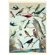 Birds Vintage Poster