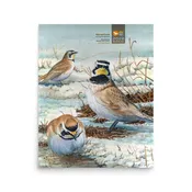 Horned Lark Poster