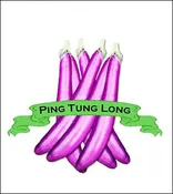 Eggplant Seed. Organic Ping Tung Long. Heirloom. Pkt.