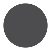 1.67 High Index Polarized Lenses