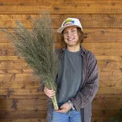 Blue Mist Grass — Charles Little and Company LLC