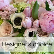 Designer's Choice - $600-800