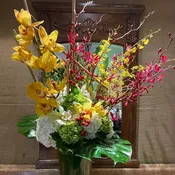 Orchids Song
