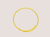 Automatic Guard Ring 98" - AL179L98 — Lincoln Traps