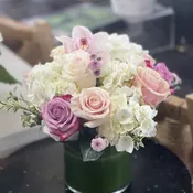 Blissed Day Special by Charlene 24