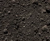 Pulverized Top Soil (Bulk)