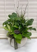 Ceramic Planter Garden