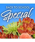 BACK TO SCHOOL SPECIAL