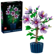 10372 HIBISCUS