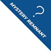 Vinyl Training Mat – Mystery Remnant