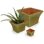 AGED MIMI PLANTERS