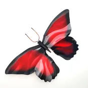 Butterfly Wall Art