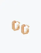 Small earrings