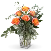 Free Spirit Roses (6)