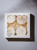 Shower steamer gift box set — hive