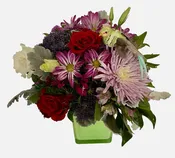 A Bird In Paradise Arrangement in a Cube | Talk ta Me Floral