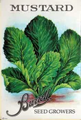 Mustard – Florida Broadleaf Leaf