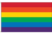Celebration Flag - LGBT Rainbow - Nylon
