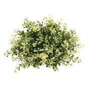 Cream Tipped Baby's Grass Half Sphere