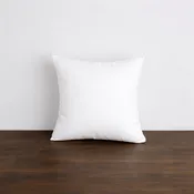 6" x 6" Pillow Form
