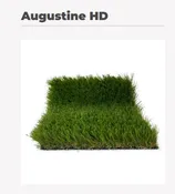 AUGUSTINE TURF