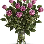 Lavender Roses